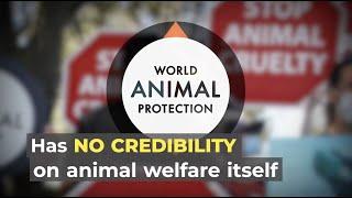 World Animal Protection