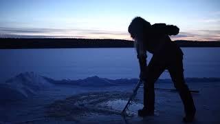 Living with the Dark Winters in Sweden  Midnight sun & Polar night#shortsvideos #shortsvideo