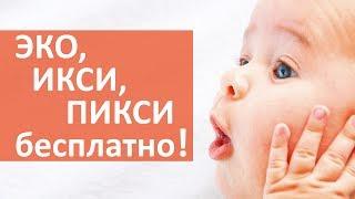 ЭКО бесплатно.  Пройдите процедуру ЭКО, ИКСИ или ПИКСИ бесплатно по полису ОМС!