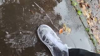 Snipes Sneaker Cover transparent (Rain Shoes)