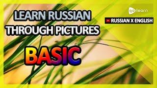 Learn Russian Through Pictures |Russian Vocabulary Basic | Golearn