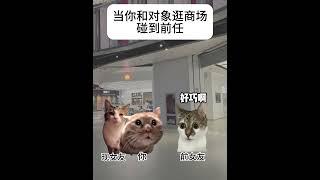 当你和对象逛商场碰到前任 #猫meme #猫meme小剧场 #离谱 #搞笑  #猫meme #funny #萌宠  #猫meme小剧场 #萌寵 #cat  #搞笑 #治癒小貓 #meme