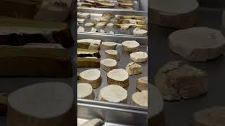 Сублиматы грибы. #shortvideo #shorts #freezedry  #сублимация #еда #лиофилизация