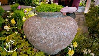 9 Gorgeous Pots: Texture-Rich Garden Design Ideas