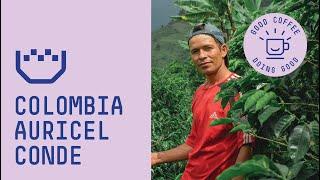 Colombia Auricel Conde - Good Coffee Doing Good I Padre Coffee