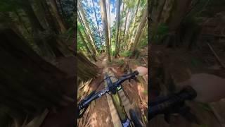 I found a New MTB Playground!  #mtb #bike #mountainbike