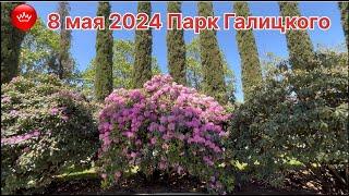 ️8 мая 2024 Парк Галицкого Краснодар.