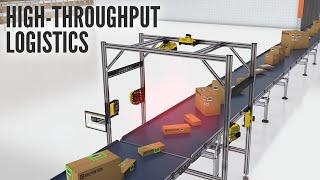 Modular Vision Tunnels Powered by DataMan 380 & 580 Barcode Readers | Cognex Logistics