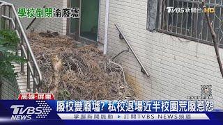 廢校變廢墟? 大專院校10年退場9間 近半校園荒廢沒人管｜TVBS新聞 @TVBSNEWS01