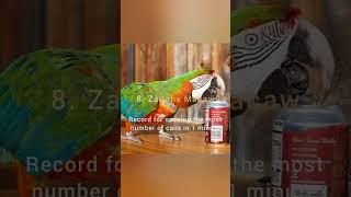 Weirdest Guinness World Records #shorts #guinnessworldrecords  #viral