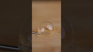 Satisfying Water Bubble ASMR Stress-Relief Macro Experiment #macroobjectsatisfying #bouncyballs