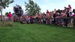 Pig Racing @ Farmer Palmer's Farm Park