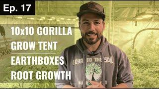 BuildASoil: GROW TENT DAY 25 WALK THROUGH (Season 3, Episode 17)