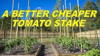 Use These As A BETTER, CHEAPER Alternative To Tomato Stakes To Support Your Tomato Plants