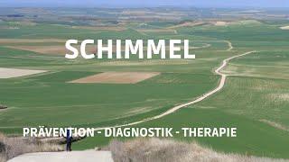 Schimmelpilze - Diagnostik und Therapie