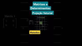 Projeção vetorial dos determinantes