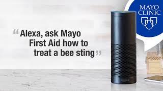 First Aid for a Bee Sting