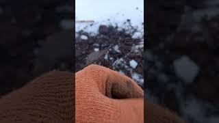 #ace250 #пошукзметалошукачем #скарби #metaldetecting #shorts #українськийютуб #2копійкиссср