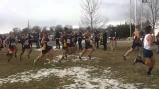 NCAA Division 2 Cross Country in Billings MT #mtscores #crosscountry