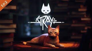  [LIVE] Stray Ep.2 | The Slums