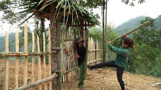 The bad guy ambushed the girl? Fruit harvesting in the forest, farm life \ LÝ SÙNG