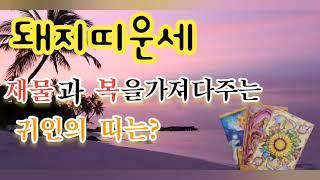 신비타로song/ 돼지띠운세/돼지띠귀인