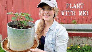 SPRING PLANTING | Planting my herb garden & window boxes! Get ready for spring with me!