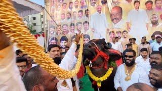 Laddu Yadav offer 5kg Gold Chain to Bahubali Bull For Sadar Festival 2022|Laddu Yadav Sadar festival