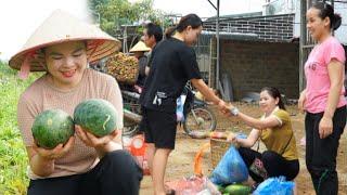 Mi Nhi was lonely alone, picking watermelons to sell at the market, and she missed Anh Vuong deeply.