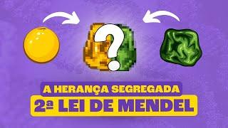 Segunda Lei de Mendel: Herança Segregada!