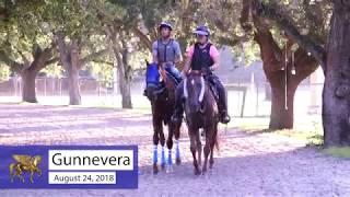 Gunnevera Works at Gulfstream Park West: August 24, 2018