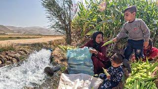 Resilient Mother and Her Children's Cornfield Adventure