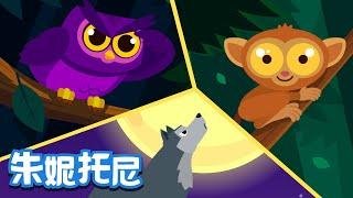 夜行動物 | 哪些動物喜歡在黑夜活動呢 | 貓頭鷹 | 狼 | 動物兒歌 | Animal Song in Chinese | 兒歌童謠 | 卡通動畫 | 朱妮托尼童話故事