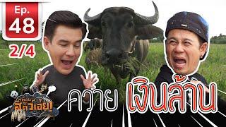 Thai Buffalo ควายไทยเงินล้าน - เพื่อนรักสัตว์เอ้ย EP 48 (2/4)