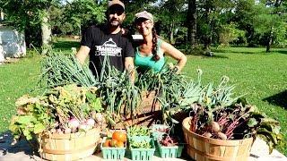 1st Organic Garden Harvest- Summer 2018