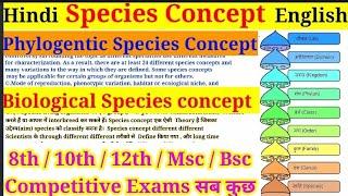 Top 4 Most Important Species Concept for Bsc & Msc Zoology | Phylogenetic Species || Msc 1st year