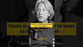  "Your dog and you will have a surge of oxytocin!" – Dacher Keltner