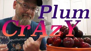 How to Make Croatian PLUM BRANDY/RAKIA/SLIVOVITZ!