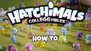 Hatchimals Colleggtibles | How To Video!