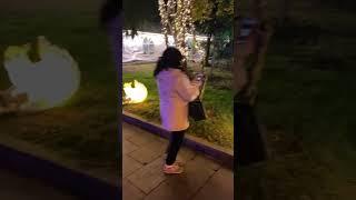 ASMR. Georgia. Sakartvelo. Batumi. Nature. Street. Squirrel. Night. Shorts.travel