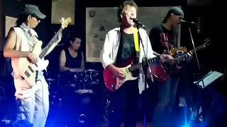 2021 02 10 Stray Cat Blues Those handsome devils Brin Wood