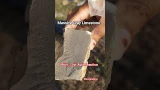 Have u seen Acid Reaction in limestone #shorts #viral #youtubeshorts #rock #ytshorts #reaction #wow