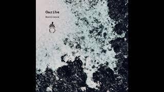 Garibe - Resilience