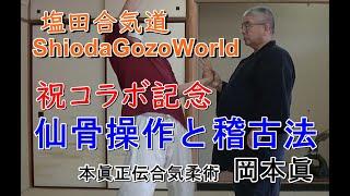 合気柔術チャンネル　技術・理合#046 　仙骨操作　縦の動きと稽古法　aiki 　makoto okamoto