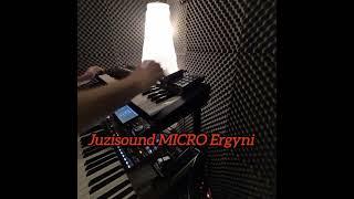 Juzisound MICRO Ergyni