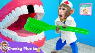 Go To The Dentist ‍️ Dentis Song | Cheeky Monkey - Nursery Rhymes & Kids Songs