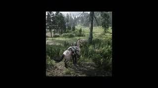 99.9% Doesn't know this! - Best WAR Horse in RDR2