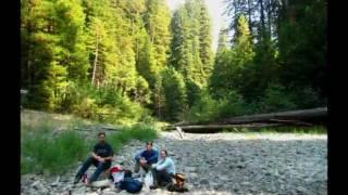 Exploring the Giant Redwood Trees in Califonia