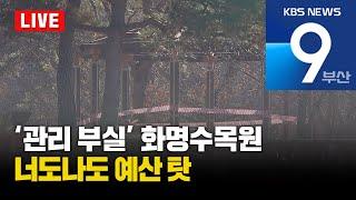 [LIVE] KBS 뉴스9 부산 - 2025.01.07(화)