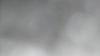 The cat and dog ep 1 s1